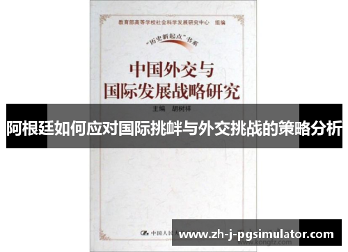 阿根廷如何应对国际挑衅与外交挑战的策略分析