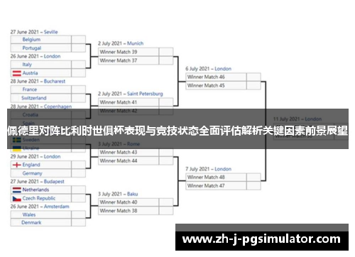 佩德里对阵比利时世俱杯表现与竞技状态全面评估解析关键因素前景展望 佩德里对阵比利时世俱杯表现与竞技状态全面评估解析关键因素前景展望