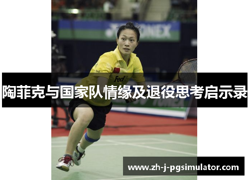 陶菲克与国家队情缘及退役思考启示录 陶菲克与国家队情缘及退役思考启示录